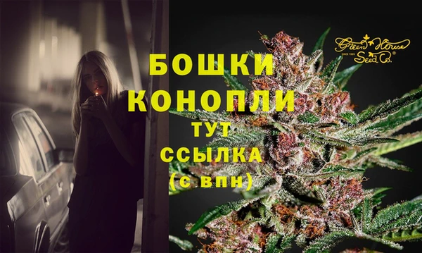 стафф Надым