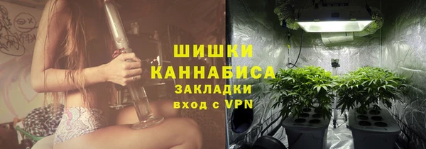 стафф Надым