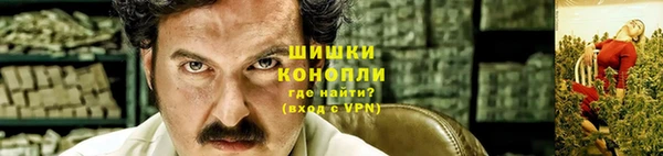 стафф Надым
