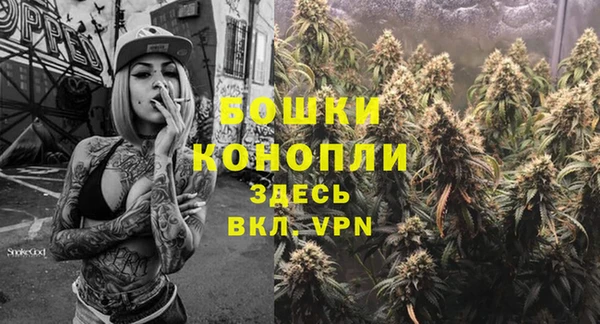 стафф Надым