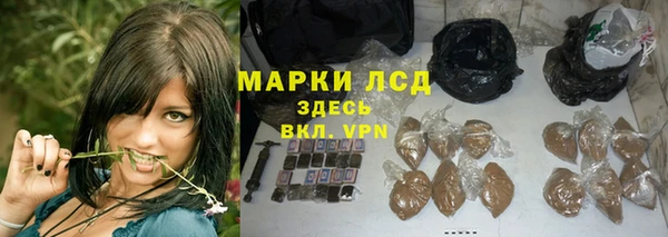 стафф Надым