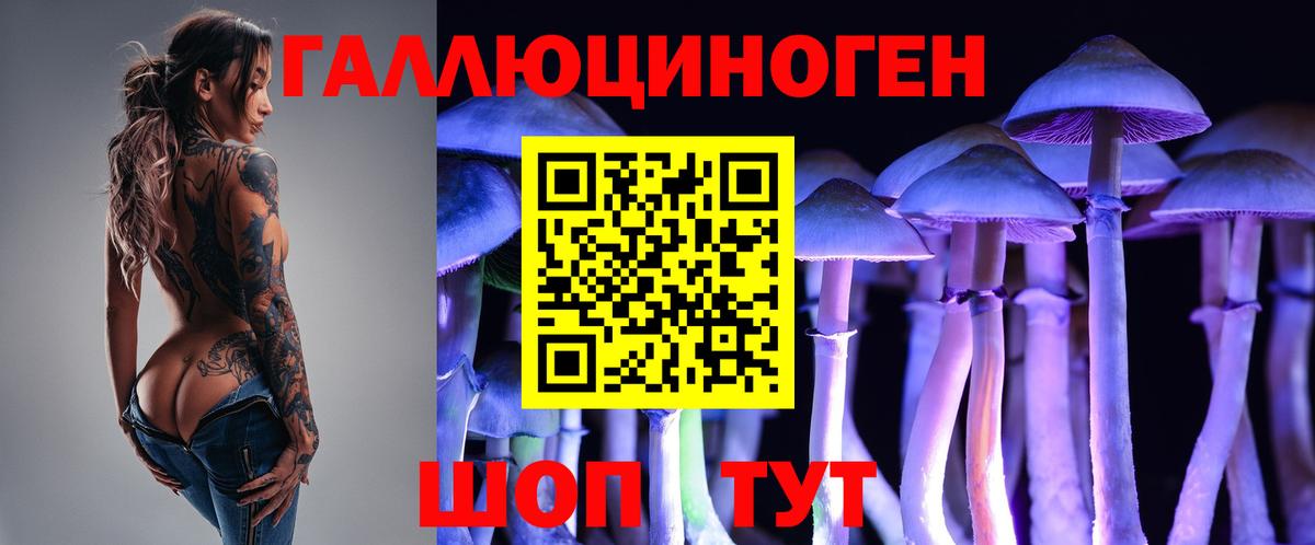 Псилоцибиновые грибы мицелий Зеленогорск