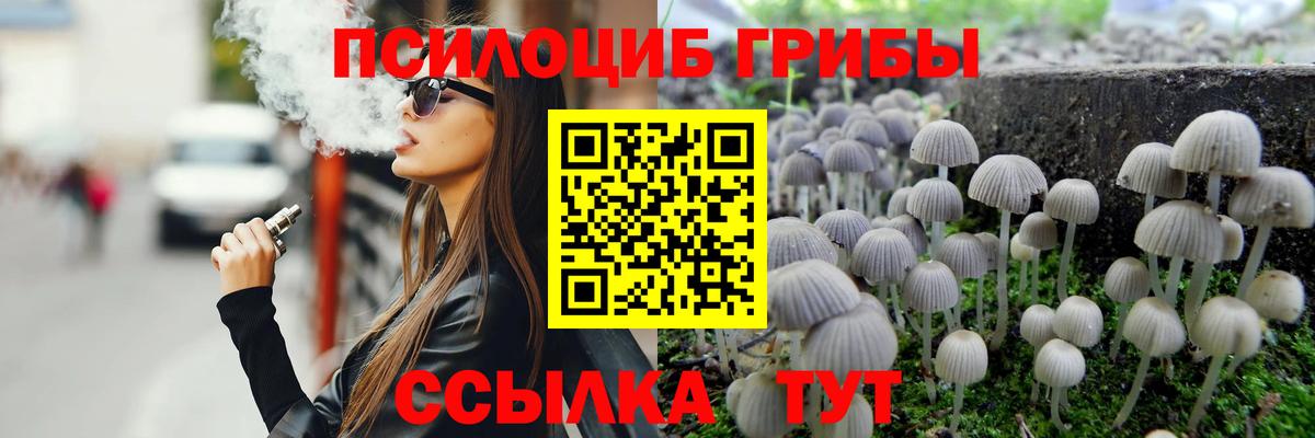 Зеленогорск  Псилоцибиновые грибы прущие грибы  Вход с VPN  где купить наркоту  Псилоцибиновые грибы мухоморы 